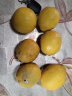 小博生鲜四川 安岳黄柠檬 新鲜水果 酸爽多汁泡水生鲜 3斤装 10-15个 实拍图