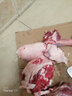 【配炖肉料】斗牧 草原力生羊肉内蒙古羊腿3斤新鲜锡盟清真带骨羔羊后腿肉冷冻烤羊腿餐饮食材批发 实拍图