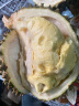 沂蒙花果山榴莲泰国进口金枕头鲜果带壳树熟榴莲A果 4-5斤个1个装 实拍图