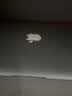 BLKE  适用苹果笔记本存储卡Macbook卡套AIR/PRO苹果笔记本闪存卡TF转SD短卡套硬盘拓展扩容内存卡套 实拍图