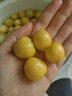 京配嘉果东北姑娘果新鲜灯笼果黄菇娘果礼盒当季洋姑娘果大果甜菇凉整箱 1斤优选装 实拍图