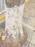 漫德莱 大树涂白剂 生石灰粉驱虫净水白灰刷树畜牧场生石灰粉干燥剂50斤 实拍图
