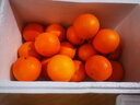 俏背篓 秭归中华红血橙薄皮多汁味甜现摘新鲜水果当季橙子爆汁 5斤中果礼盒装 实拍图