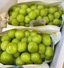 果贤达晴王阳光玫瑰葡萄日本引进品种当季新鲜无核无籽香印葡萄水果 1.5斤 【尝鲜装】 实拍图