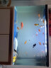 SICCE鱼缸懒人鱼缸家用客厅办公室金鱼缸中小型玻璃鱼缸过滤鱼缸 SO-800F（800*270*510） 实拍图