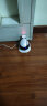 enabot EBO Air 宠物陪伴机器人 宠物远程监控摄像全屋移动摄像头 电子养宠逗猫 ebo机器人 晒单实拍图