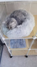 KimPets猫窝四季通用宠物小猫咪屋被子冬季保暖猫狗窝冬天用品封闭式猫床 柔制水晶绒（绅士灰） 柔软包裹 直径40cm，适合10斤内宠物 实拍图