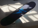 RMT滑板专业板双翘板短板四轮刷街初学者成人男女生青少年儿童 Blue Bay 蓝色海湾 8.0英寸 实拍图