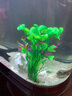 异景园鱼缸水族箱装饰仿真水草水族造景套餐假水草装饰塑料高款大水草绿 CL44七指草【绿】 实拍图
