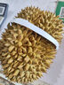 鲜福林泰国进口金枕头榴莲水果 新鲜鲜果带壳金枕榴莲保鲜一整个榴莲 甄选A果4-5斤（包4房） 实拍图
