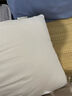 卡丝迪尔全棉A类枕头枕芯护颈椎助睡眠家用一对装学生宿舍专用单高枕男女 A类抗菌枕中枕【单只装】 A类面料抗菌枕头 实拍图