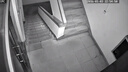 播种心情 家庭种植蔬菜种子孑籽大全四季播种阳台盆栽农家庭院小菜园有机 红樱桃萝卜种子2包 实拍图