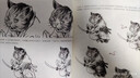 插画师之路 人物角色设计与场景插画手绘技法（数艺设出品） 实拍图