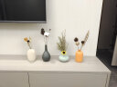 简艺饰家陶瓷花瓶摆件创意客厅电视柜插花家居玄关样板房软装饰品四件套 实拍图