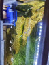 森森（SUNSUN）鱼缸过滤器循环水泵三合一抽水泵水族箱过滤制氧 JP-1500GS 30W（不带除油膜）流量可调 实拍图