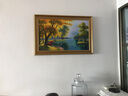 美艺佳天鹅湖纯手绘油画客厅沙发背景墙横幅壁画欧式山水风景手工装饰画 简欧金框 60*90CM 实拍图