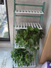 木马人简易可折叠客厅花架阳台户外多层家用落地室内花盆架子置物盆景架 4层50绿白 实拍图