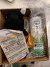 4LEGS狗狗沐浴露比熊萨摩耶博美狗洗澡白毛专用宠物用品液浴液杀菌除臭止痒 除蚤净螨 全犬通用 实拍图