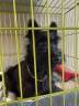 宠乐乖（CHONGLEGUAI） 狗笼子中小型犬幼犬加粗加密折叠便携猫笼子宠物笼具760NM 实拍图