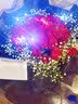 馨仪鲜花速递33朵红玫瑰香槟混搭花束生日礼物全国同城配送 33朵红玫瑰花束—女神款 实拍图