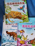 小牛顿动物百科大揭秘 全10册 儿童绘本科普读物科学馆少儿动物百科大揭秘海洋动物世界故事书 实拍图