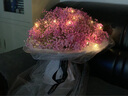 幽客玉品鲜花速递满天星花束礼盒表白送女友老婆生日礼物全国同城配送 粉色满天星熊抱超大花束 实拍图