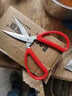 保联剪刀家用经典红色厨房剪办公文具剪纸小剪刀不锈钢手工线剪子多个 【大号】19.5cm 实拍图