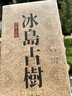 徐普号 冰岛古树普洱茶叶熟茶砖1000g 实拍图
