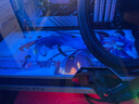 铭瑄（MAXSUN）RTX4060TI电竞之心OC8G瑷珈组装台式电脑电竞超频黑神话悟空游戏独立显卡DLSS3 铭瑄4060TI电竞之心瑷珈OC16G 实拍图