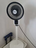 扬子空气循环扇家用电风扇台立两用落地扇涡轮对流摇头遥控电风扇宿舍客厅卧室循环风扇 遥控款【左右摇头+遥控定时】 实拍图