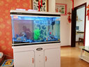 闽江（minjiang）鱼缸水族箱家用屏风生态造景中大型金龙鱼缸客厅免换水鱼缸 纯洁白色（养鱼礼包+升级过滤） 长104*宽36.7*高139(缸体+底柜) 实拍图