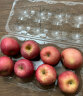 京鲜生烟台红富士苹果8个 单果160-190g 新鲜水果 实拍图