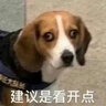 山泽八类网线游戏电竞级万兆网络线 CAT8类纯铜双屏蔽8芯双绞线家用电脑宽带成品跳线兼容千兆黑色20米 实拍图