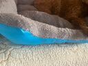 凯莉狗窝宠物泰迪狗狗垫子猫窝四季通用窝垫糖果大小型犬通用狗窝猫窝 糖果窝天蓝色 55*40cm(建议10斤内) 实拍图