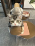 猫乐适猫咪泌尿道处方粮猫粮TS4尿道结石膀胱炎症尿闭尿血减少结石 【利尿搭档】猫乐适处方粮+利尿通 实拍图
