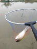 神鲨湖库王4.5米鱼竿超轻超硬碳素钓鱼竿手竿台钓竿鲤鱼杆鲫鱼竿渔具 实拍图