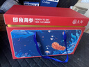 久年大连即食海参京东自营2斤6-10只独立包装礼盒装 辽刺参王海鲜礼盒 实拍图