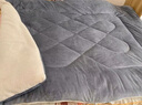 雅鹿被子秋冬棉被加厚冬季被芯双单人宿舍盖被垫被被褥空调被四季通用 期待【持久保暖 柔软舒适】 150*200cm【约6斤】 实拍图