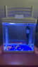 SICCE鱼缸懒人鱼缸家用客厅办公室金鱼缸中小型玻璃鱼缸过滤鱼缸 T-240F（240*165*280） 晒单实拍图