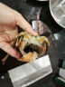 尝鲜生 超大波龙虾鲜活冻澳龙加拿大波士顿龙虾1-7斤年货海鲜礼盒大礼包 1.3-1.6斤/只 晒单实拍图