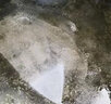 安露（ANLU）家用洗车机便携式220V大功率洗车神器洗地高压水枪清洗机强力冲洗 1600W VAY-90套餐一 实拍图