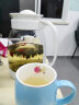 天喜（TIANXI）冷水壶大容量玻璃杯可过滤冷水壶耐热茶具啤酒花茶家用凉水杯 黑色2000ml+玻璃杯两只 实拍图