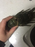 乐鲟汇生鲜 龙虾 大龙虾 青龙虾海鲜水产鲜活冷冻海鲜大虾年货海鲜礼盒 【尝鲜】2只共600-800g青龙虾 实拍图