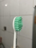 飞利浦（PHILIPS）sonicare 电动牙刷头 电牙刷替换头适配HX2421HX2431HX2451HX2461HX2462HX2471HX2482 HX2021/02 1支 实拍图