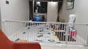 起点高（KIDGO）婴儿童门口防护栏小孩楼梯栅栏宠物狗围栏阳台客厅厨房分隔栏杆 白色74cm高 比所选宽度再加140cm延长件 实拍图