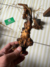 黄荆桩老桩黄荆盆景熟桩树桩根雕舍利黄荆室内绿植办公室盆栽庭院盆景疙瘩老桩 （2个）小号舍利老桩随机发 不含盆 实拍图