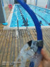 WATERTIME游泳呼吸管训练儿童换气头带水下呼吸器泳姿自由泳呼吸管游泳装备 蓝色 实拍图
