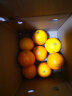 集年鲜江西信丰赣南脐橙现摘甜橙子生鲜水果原产地发货年货礼盒彩箱 4个尝鲜装（118-150g) 实拍图
