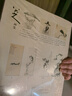 经典全集 八大山人画集 8开中国画临摹画册书籍写意水墨国画山水花鸟鱼虫技法教材高清册页 朱耷花卉禽鸟名作赏析鉴赏 杨建飞主编京东618活动 实拍图