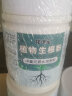 花沃里生根粉500g 快速生根植物扦插绿植花卉生长剂有机复合肥料增根剂 实拍图